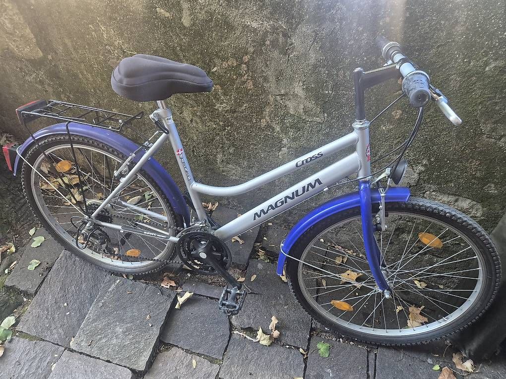 Biciclette: Citybike – Usato da Mex VD venduto da Janmichel 2