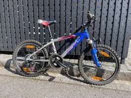 Bicicletta wheeler con cambi shimano