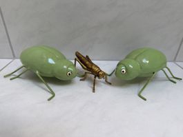 Käfer und Heuschrecke , Dekoration.