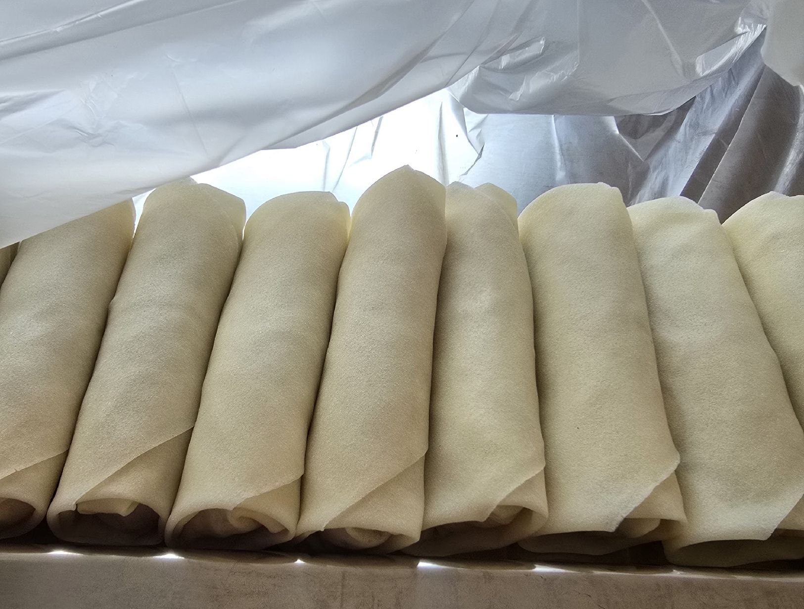 Cibi & Specialità: Frühlingsrollen mit oder ohne Fleisch gefroren – Usato da Biberist venduto da Giveme 1