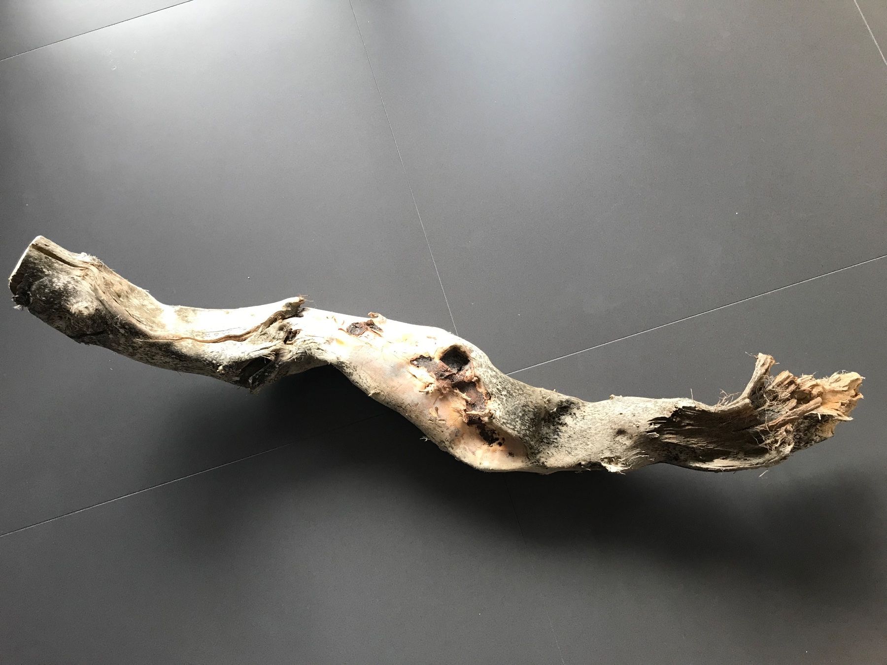 Articoli in legno: Schwemmholz – Nuovo (secondo la descrizione) da Vicosoprano venduto da moikka 2