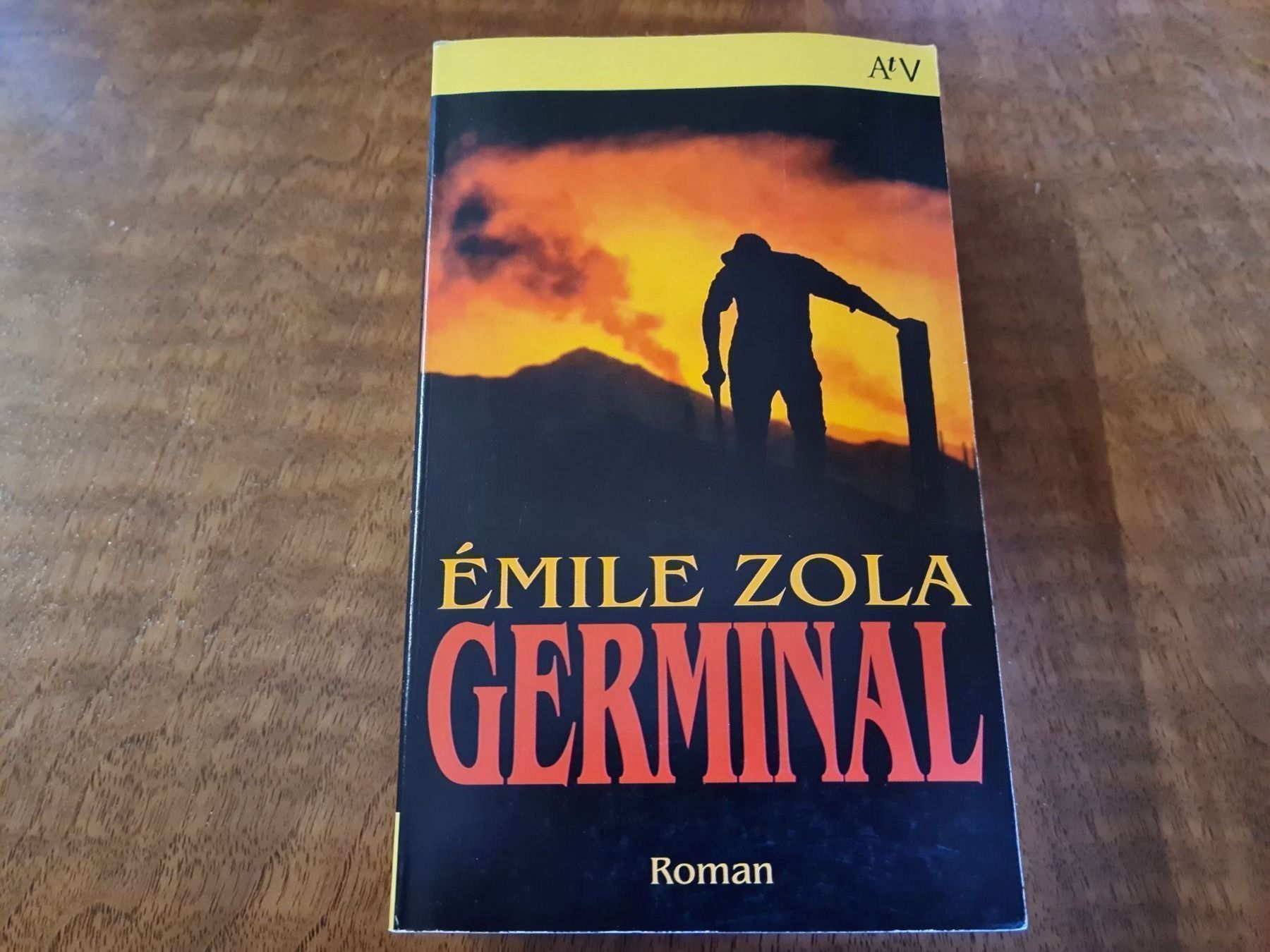 Libri: GERMINAL – Usato da Erstfeld venduto da Mario_boe0