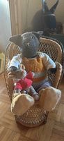 Teddy