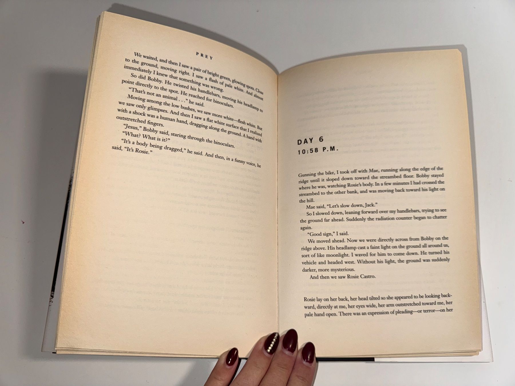 Libri: NOVEL: Michael Crichton, Prey – Usato da Grosswangen venduto da English_books 7