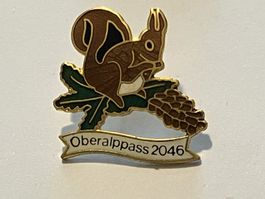1 Pin Oberalppass 2046