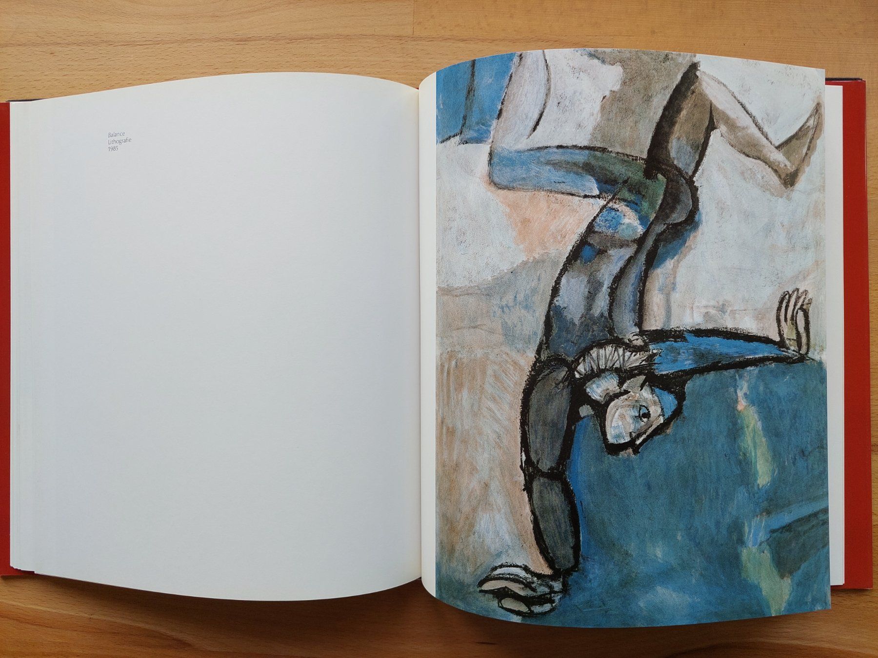 Bücher: Rudolf Mirer - Kunstbuch 1986 Top Zustand – Gebraucht aus Obfelden von Foto_Bild_Kunst_Buch 1