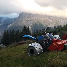 Profile image of swisshuski90