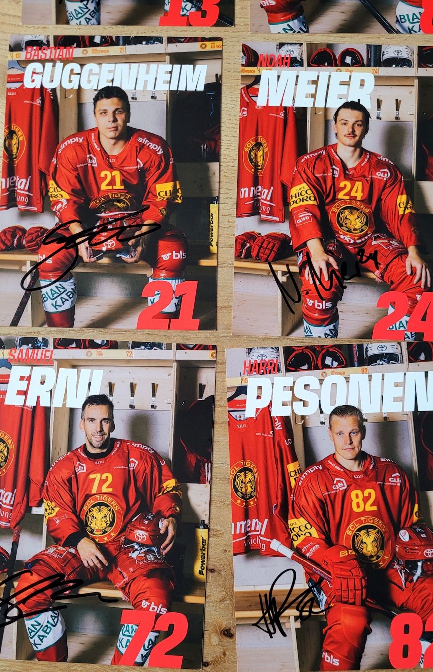 Autografi: SCL Tigers signierte Autogrammkarten  – Usato da Steffisburg venduto da Gismo49 5