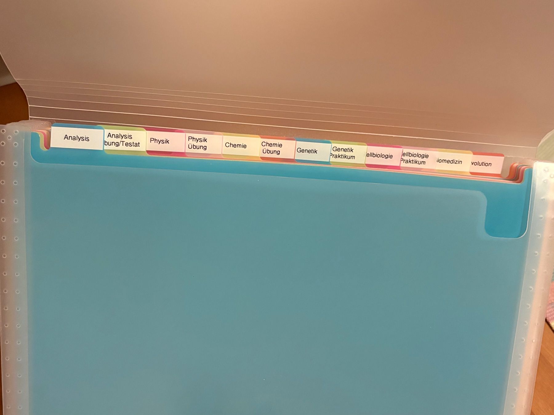 Migros Raccoglitori: Registermappe A4, 12 Fächer – Usato da Chur venduto da smart.shopper 2