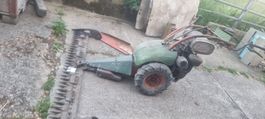 Rapid Rex