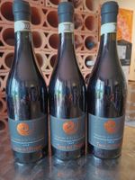 3 Fl. Amarone Classico Superiore DOC, Terre del Progno, 2010