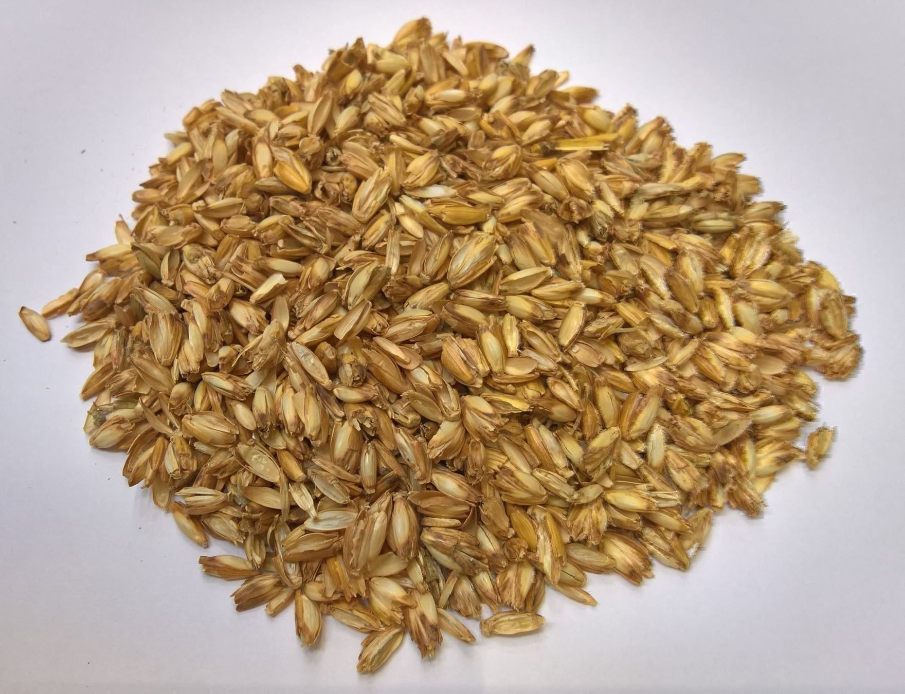 Materiale di riempimento: Kornspreu – Nuovo e nell'imballaggio originale da Malters venduto da landipilatusmalters