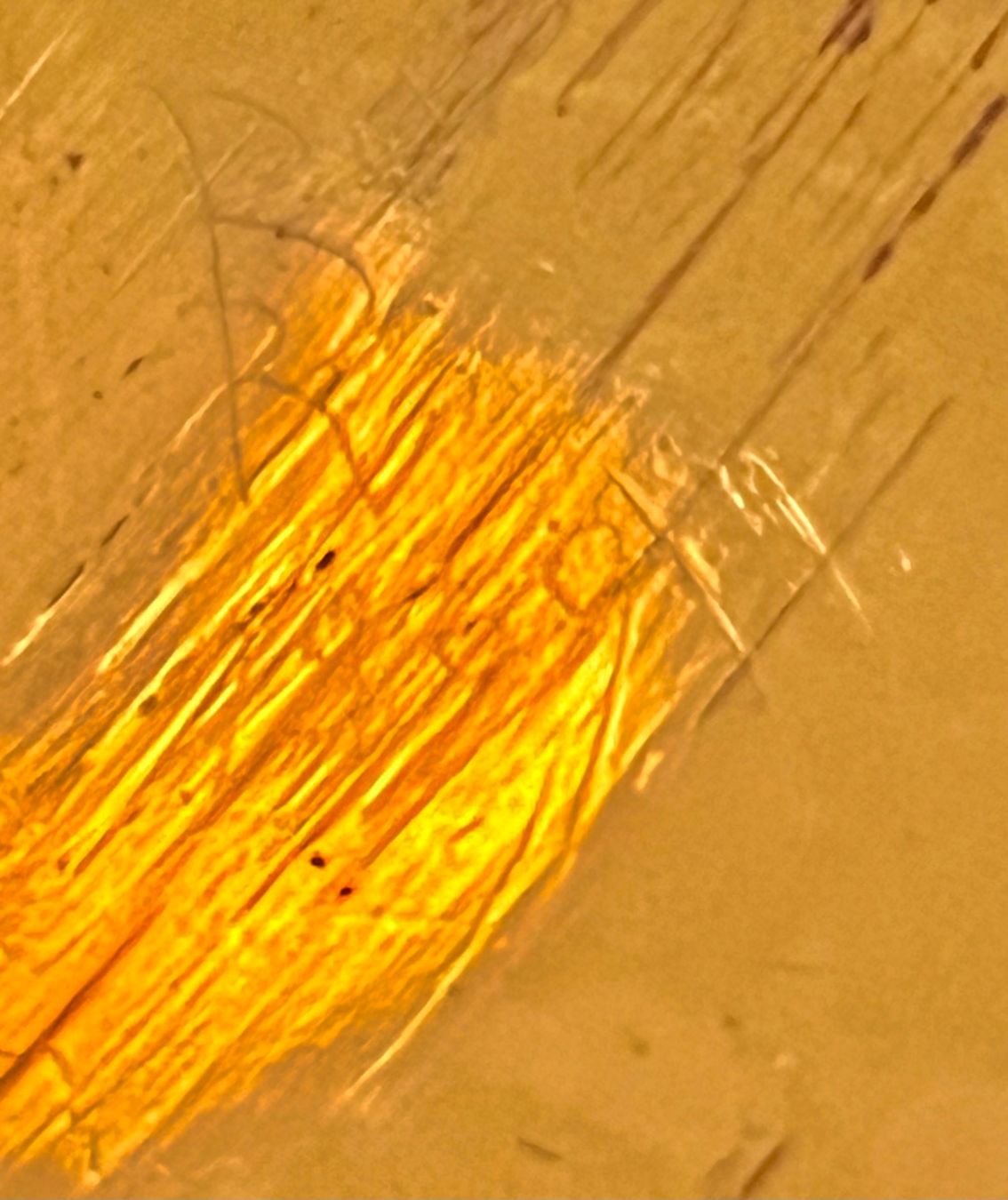 Tutte le decorazioni: Messing Dose – Usato da Grueningen venduto da ant_qb8l 4