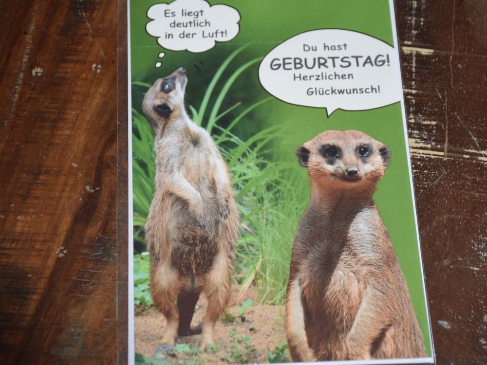 Lustige Erdmännchen Geburtstagskarte – Großformatig & Witzig | Mit Umschlag