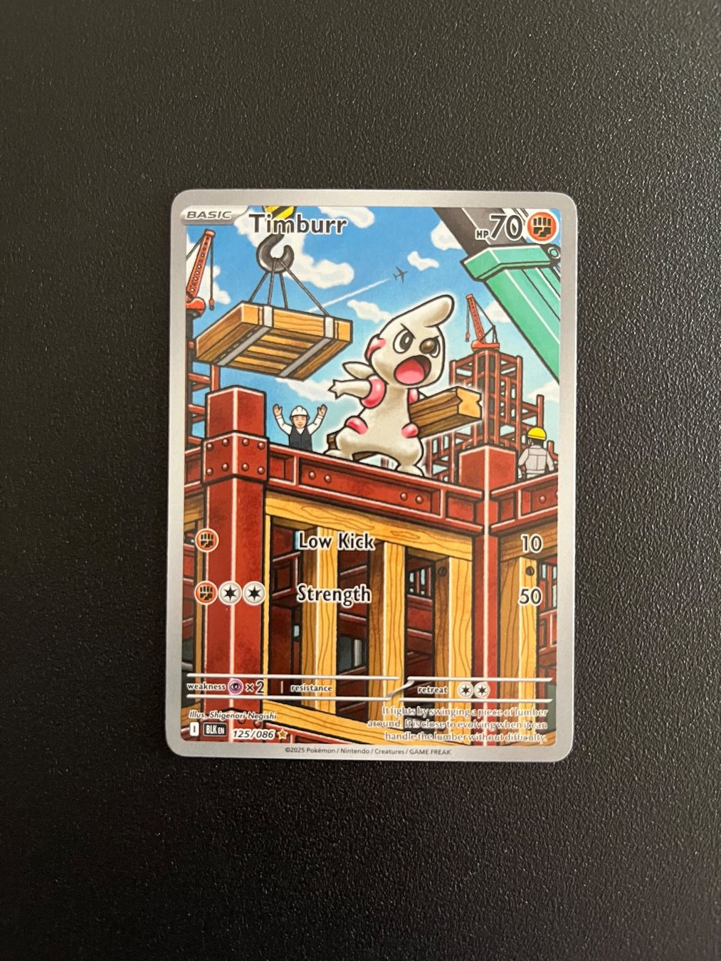Pokémon Carte collezionabili: Pokémon Timburr 125/086 – Usato da Seuzach venduto da provenzano18