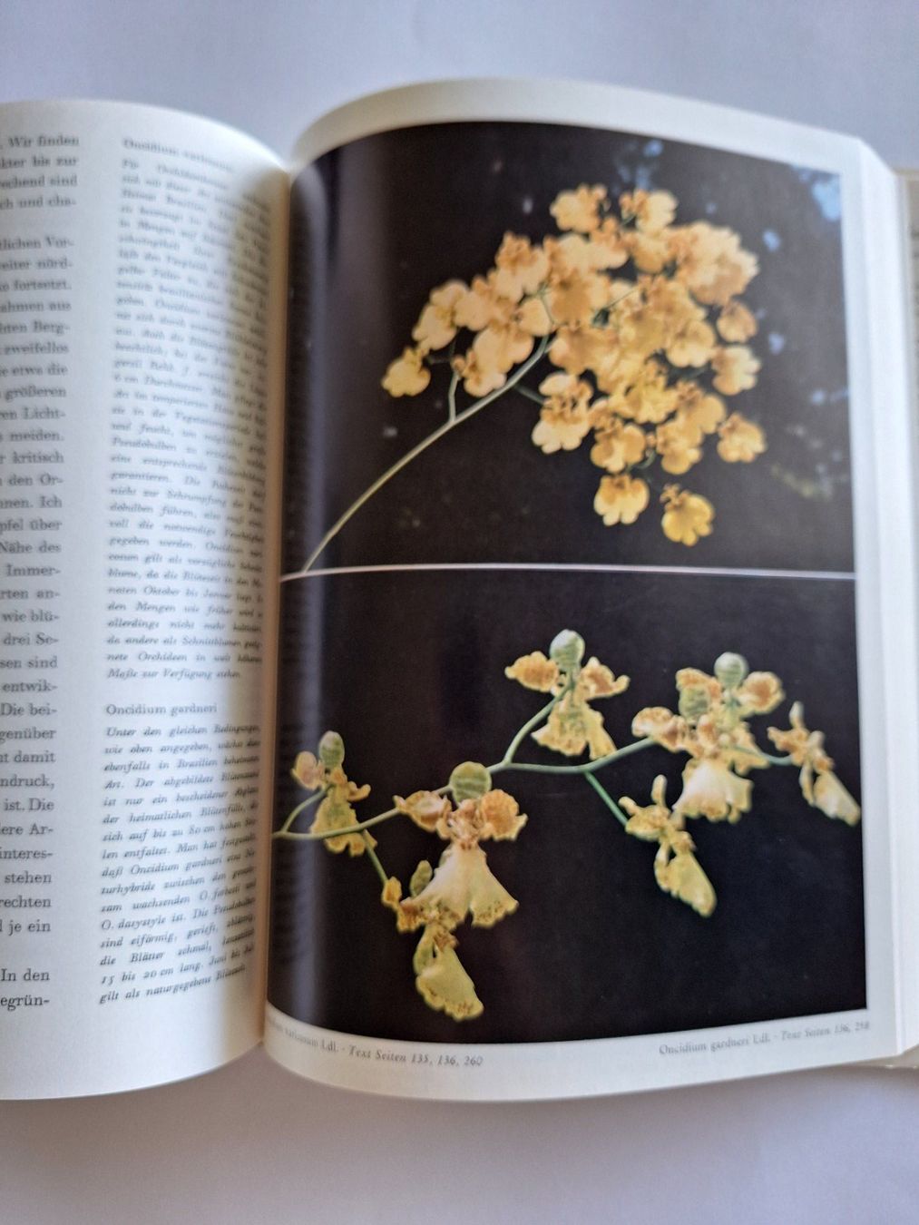 Libri: Orchideen Buch, Walter Richter, Neumann Verlag – Usato da Zürich venduto da t24_de 3