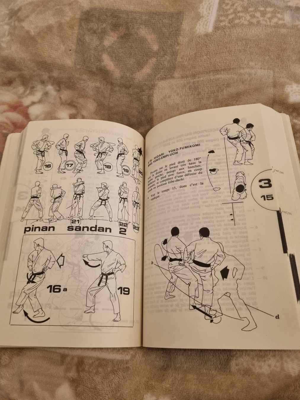 Livres: Livre Karaté-Do Katas: Techniques de base et avancées – D'occasion à Riddes par pierre-a-facettes 4