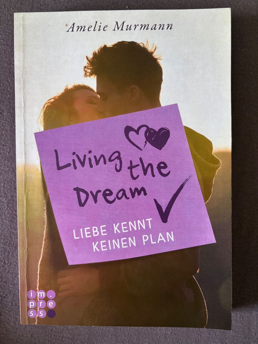 Libri: Living the Dream von Amelie Murmann – Usato da Niederönz venduto da deb_tyz9