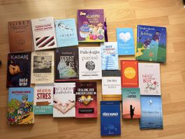 Bücher Konvolut Divers mit Büchern, guter Zustand