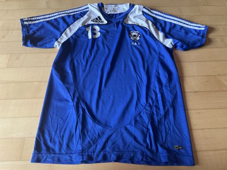 VAE Vintage Training Shirt Matchworn Trikot
