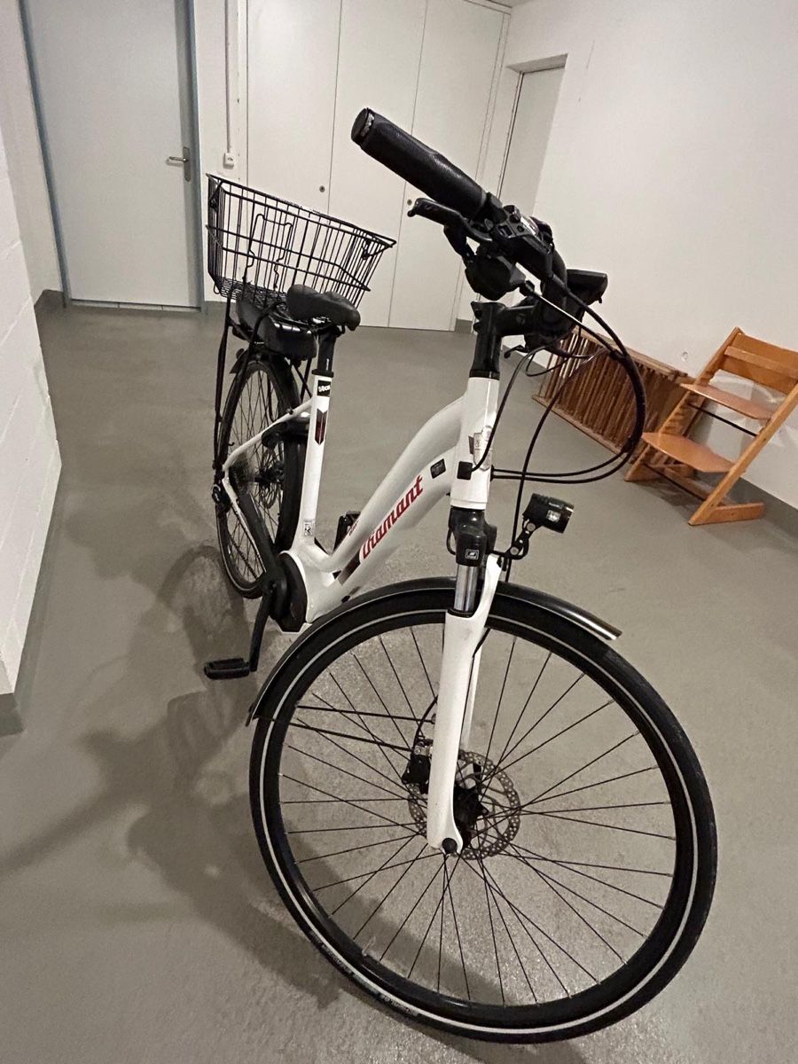 Diamant Vélos: E-Bike Diamant Elan – D'occasion à Lungern par minilili 2