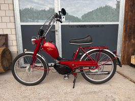 Pony Junior 503 - 2Gang HG - Traum! Wie NEU
