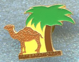CAMEL  INTERNATIONAL