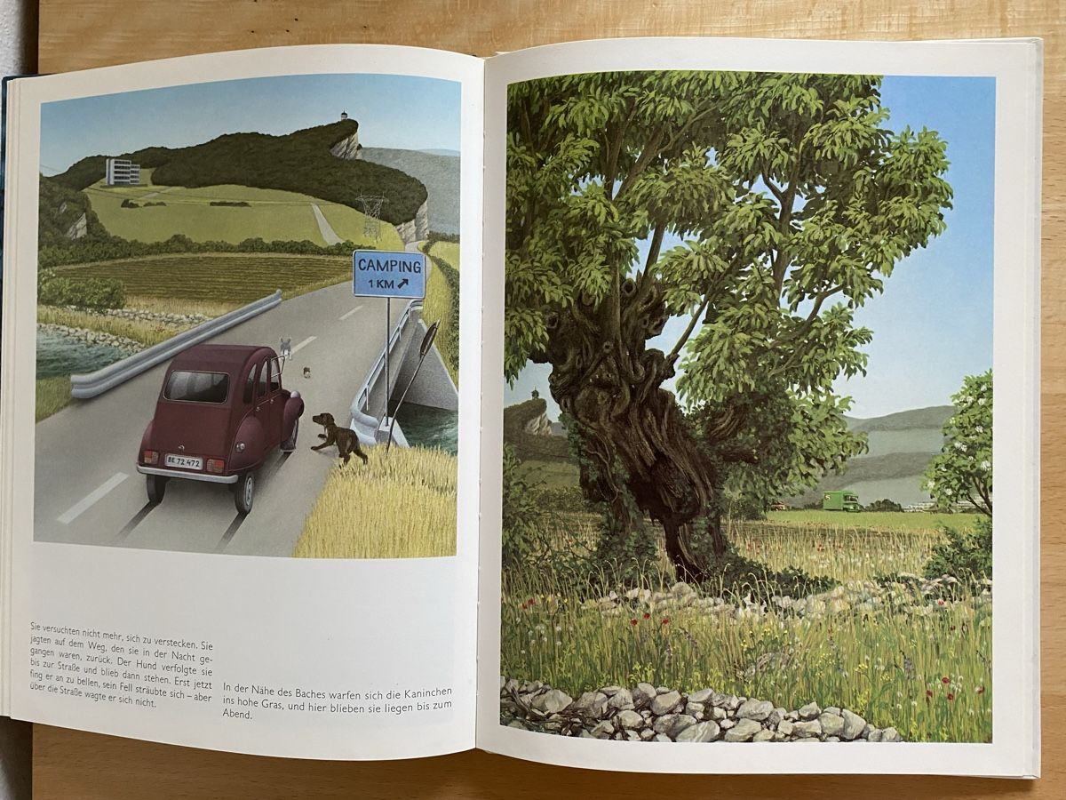 Bücher: Die Kanincheninsel - Jörg Müller/Jörg Steiner – Gebraucht aus Schwarzenburg von Michellu 6