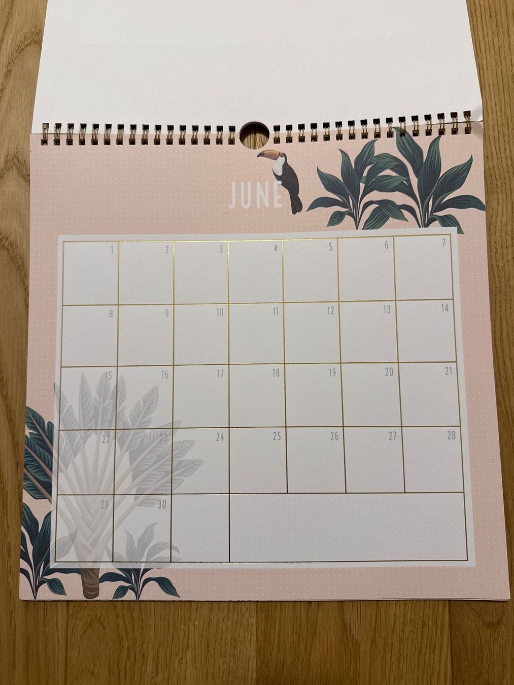 Calendari: NEU! Geburtstags-Wandkalender – Usato da Schönenwerd venduto da d.chiara 4