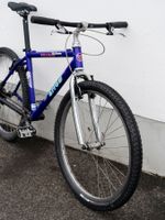 Villiger Arrow Mountainbike, neue Gabel