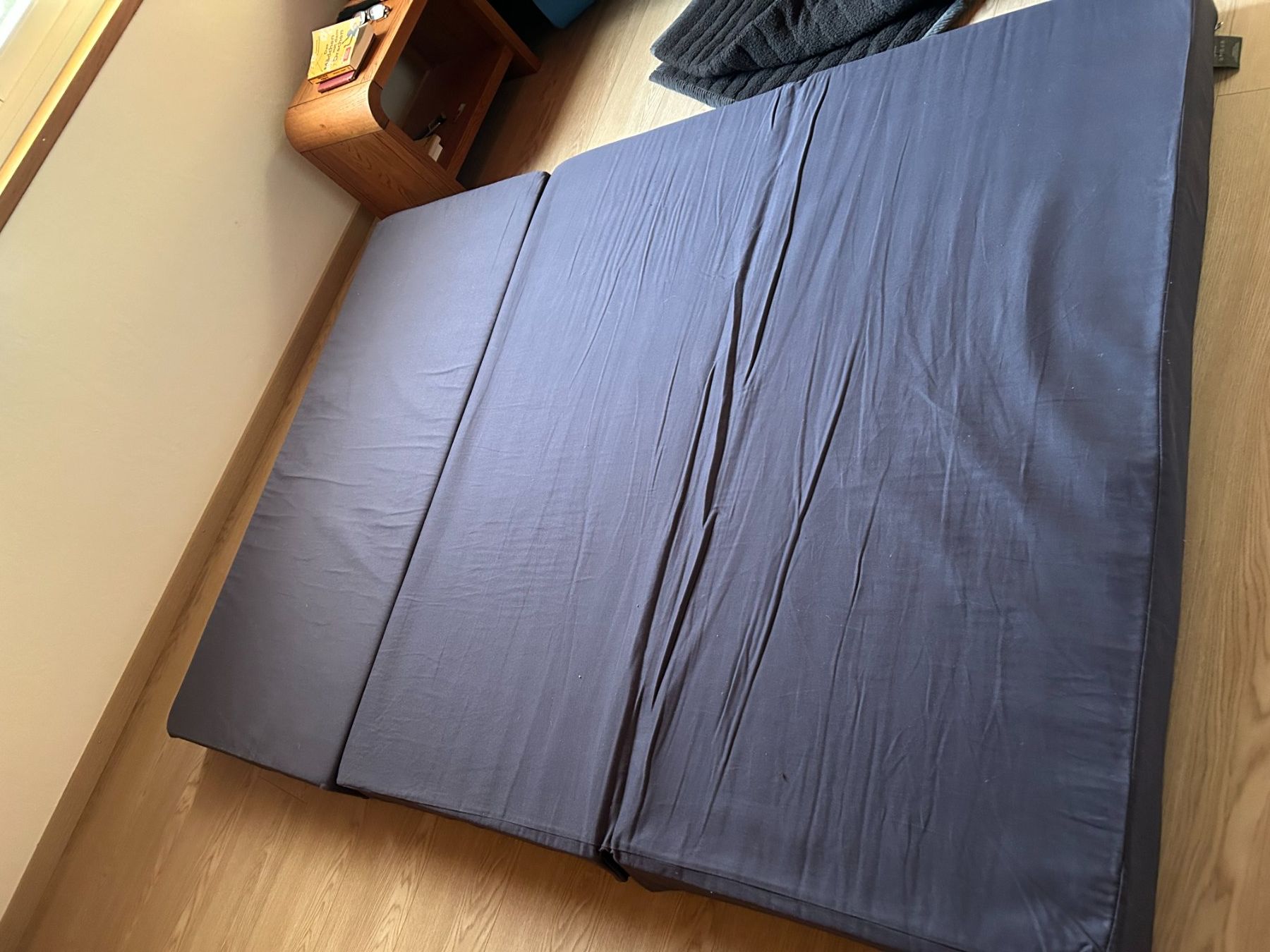 Sofas: Shogazzi Schlafsofa – D'occasion à Rickenbach ZH par RaSaAnDa 1
