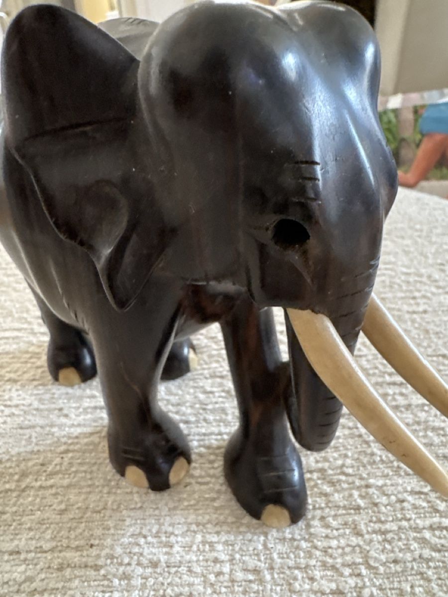 Sculture & Statue: Edler Elefant handgeschnitzt aus massivem Ebenholz / Harthol – Usato da Winterthur venduto da han_m89f 2