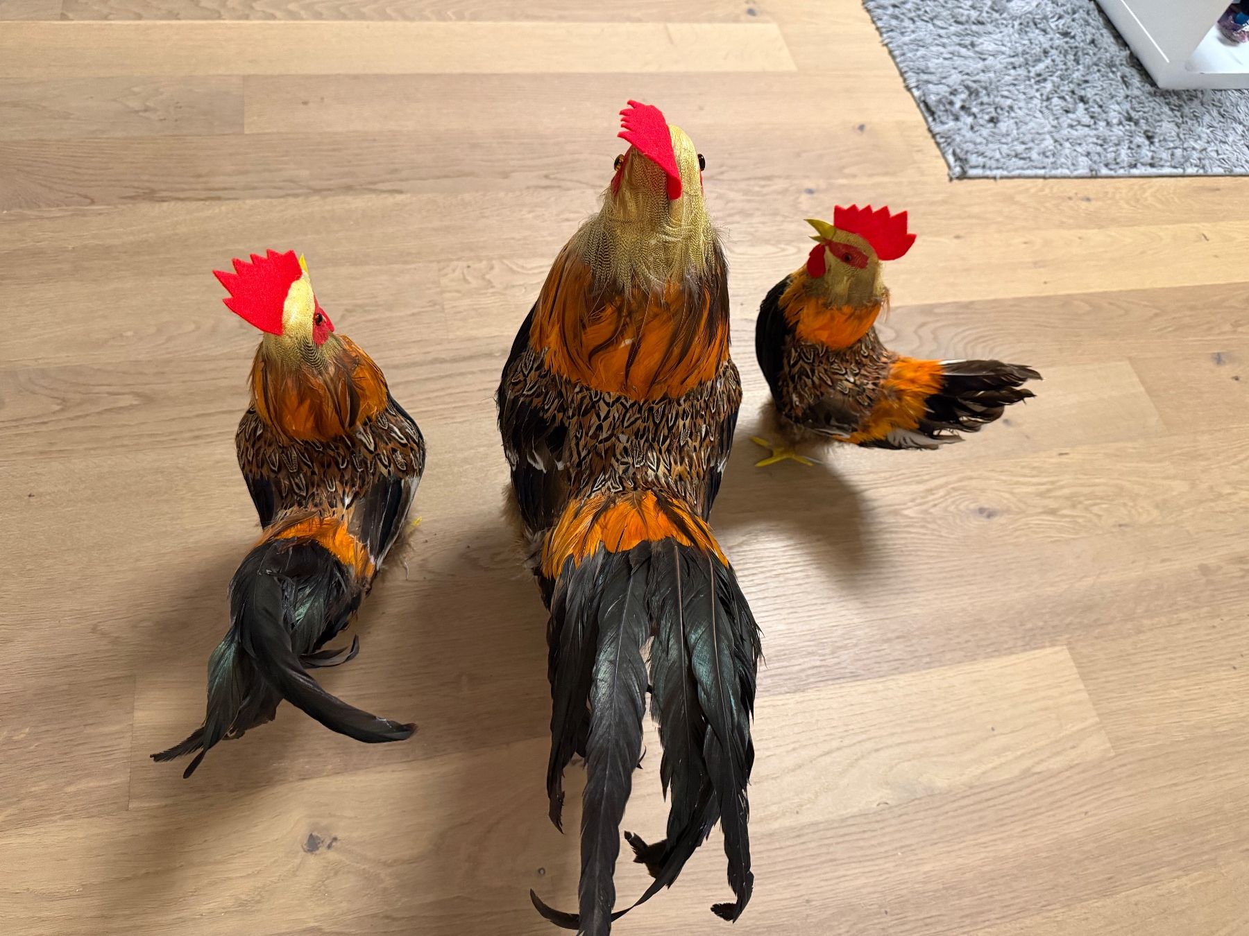 Figuren: Dekohühner – Gebraucht aus Herisau von Scorpion445 2