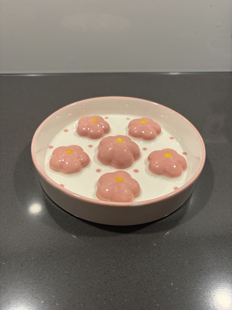Schalen: Ceramic Slow Feed Bowl  – Gebraucht aus Spreitenbach von galus_z