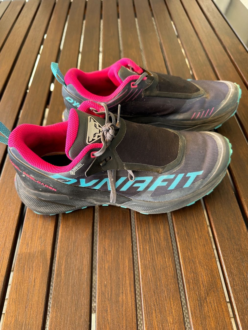 Dynafit Scarpe da donna: Dynafit Damen Heel Preloader GTX Schuh – Usato da Steinen venduto da Morales8 1