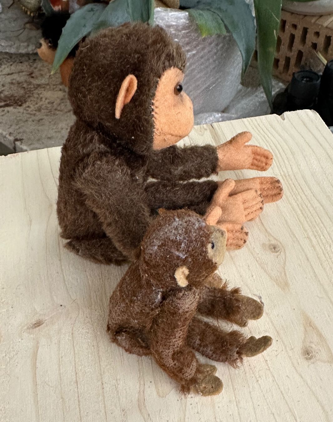 Steiff Giocattoli: 2 Äffchen Steiff Affe ca. 12 und 18 cm – Usato da Zürich venduto da brazerola 4