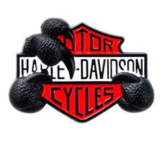 Stickers métal Harley-Davidson  Griffes Noires stylées J154