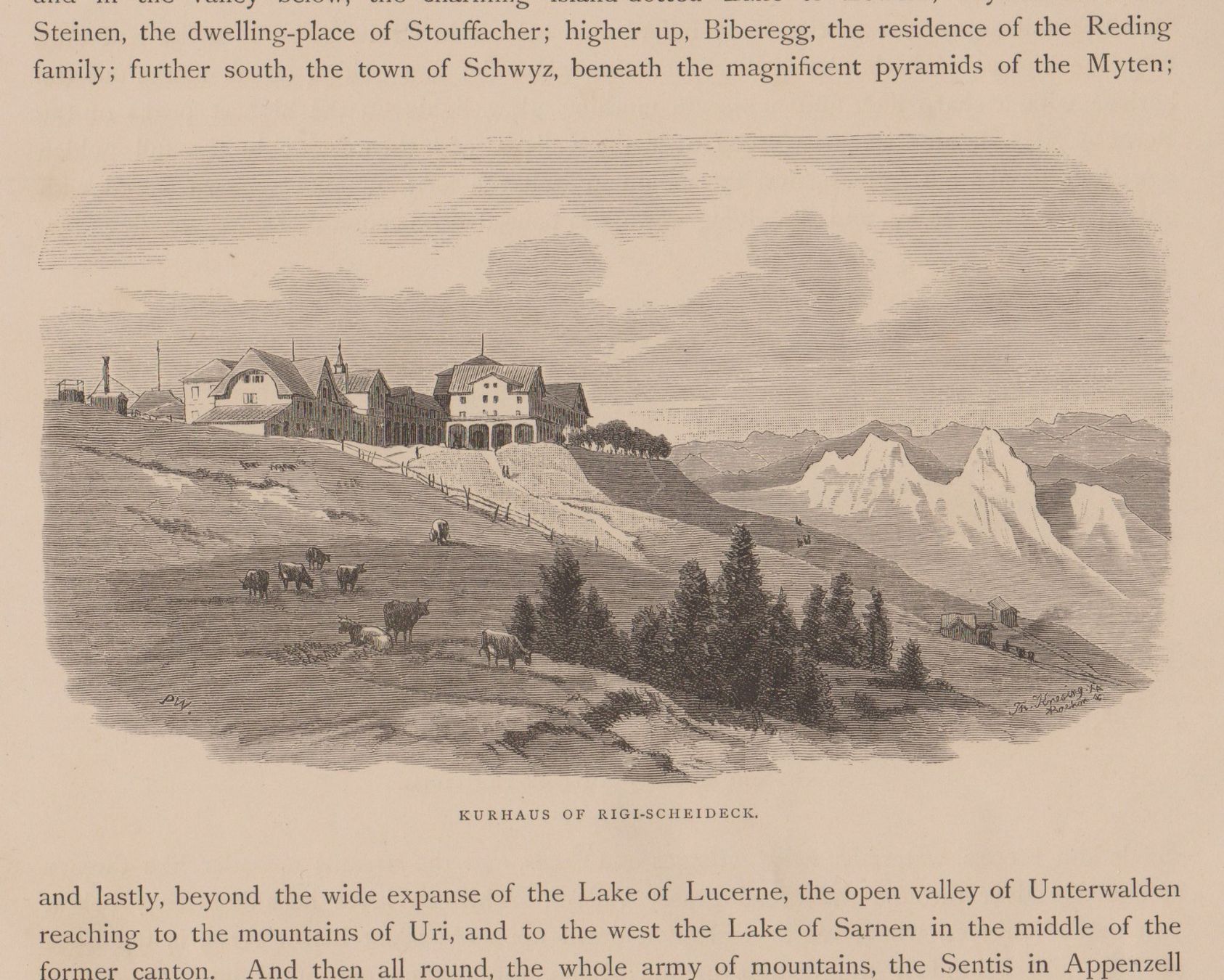 Foto & Immagini: Rigi-Scheidegg   -   altes Bild (Xylographie) – Usato da Vitznau venduto da Mina60
