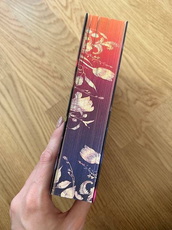 Bücher: Dark deadly Castle – Neu und originalverpackt aus Jegenstorf von _alena_21 2