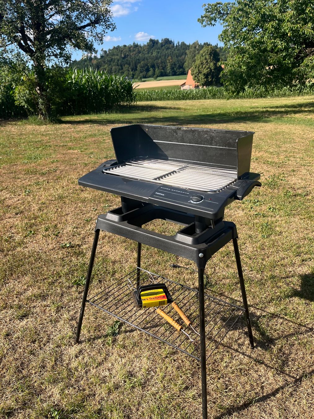 Tefal Griglie: Elektrogrill Tefal – Usato da Allmendingen b. BE venduto da juair 1