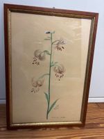 Schönes Botanische Aquarellmalerei, gerahmt, mit Lilienmotiv