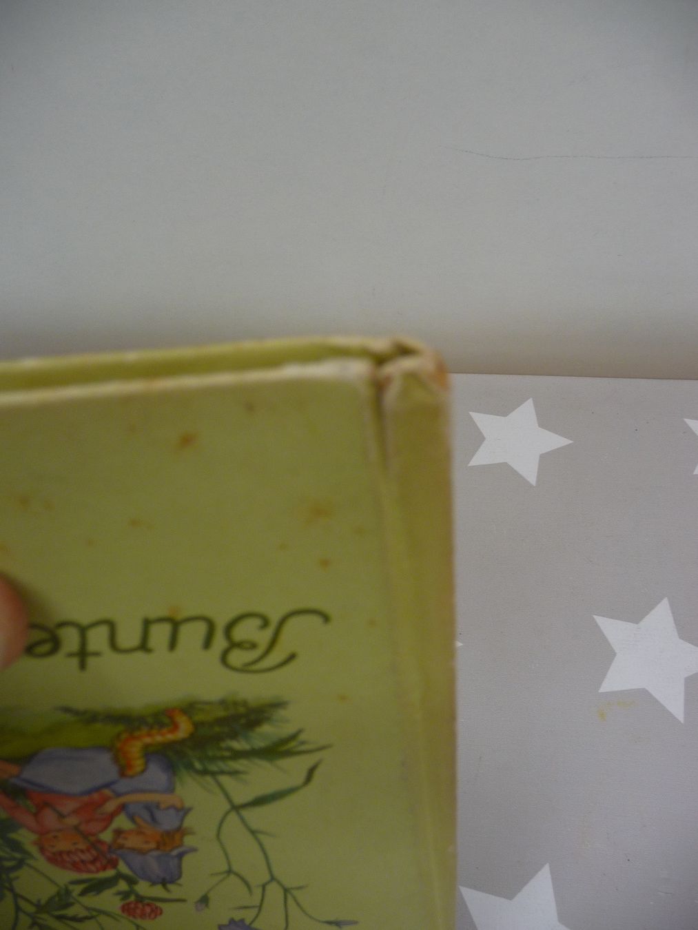 Libri: Buch: Bunte Sommerwiese Nora Scholly – Usato da Rafz venduto da Powacaddy 6