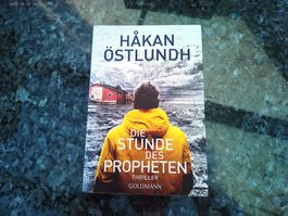 Die Stunde des Propheten von Hakan Östlundh