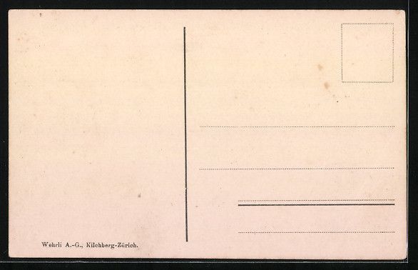 Cartoline postali: Wädenswil, Gesamtansicht des Ortes mit  – Usato da Berlin venduto da bartko-reher 1