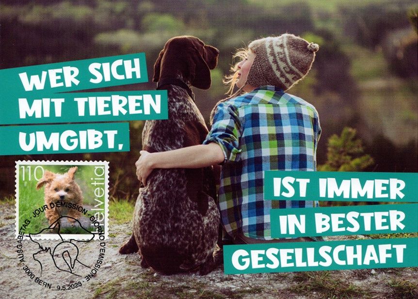 Maximumkarte Süsse Tiere Hund beste Gesellschaft Kaufen auf Ricardo