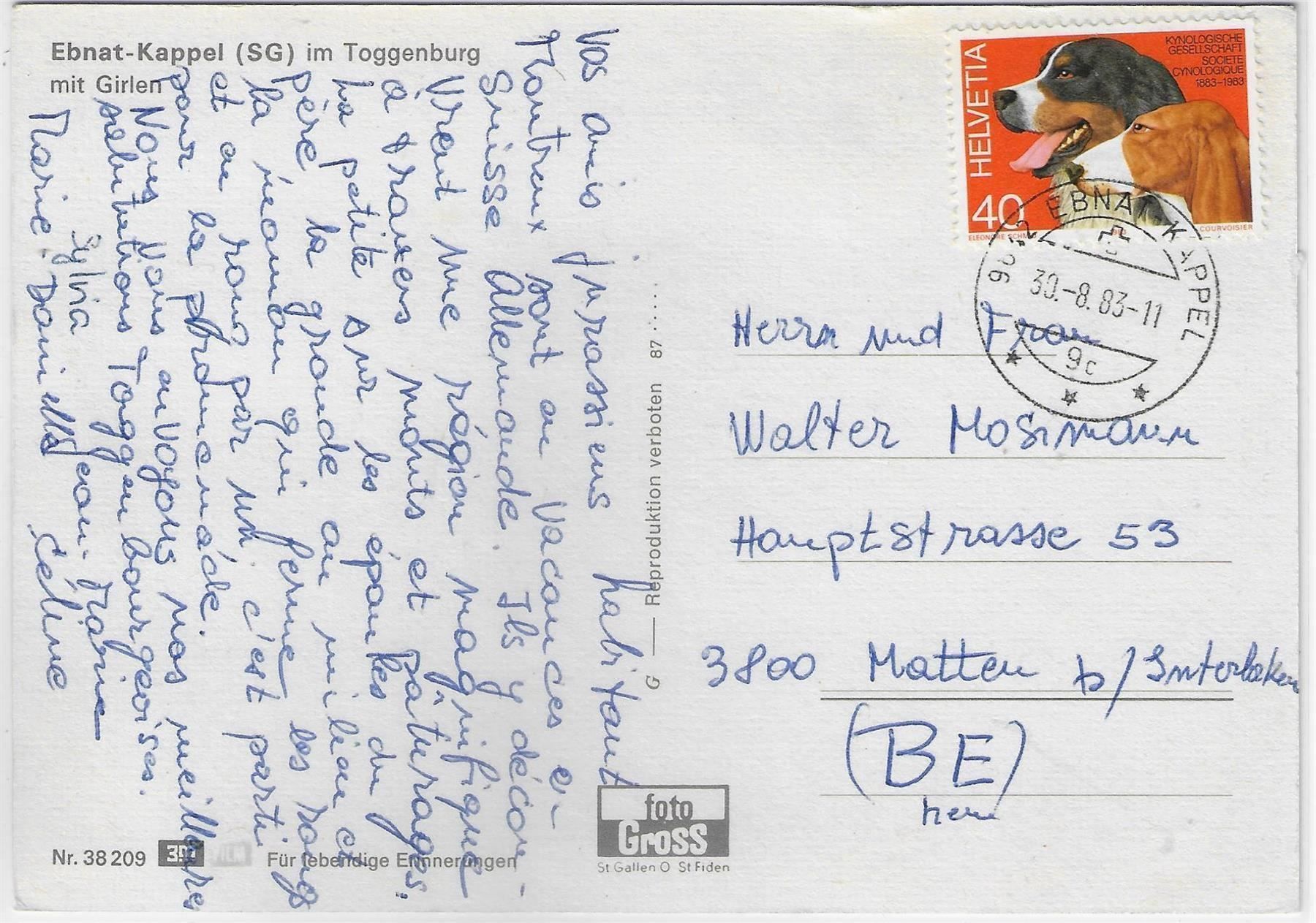 Cartoline postali: Ebnat-Kappel Toggenburg - Generalansicht – Antico da Ettingen venduto da Kartenplanet 1