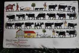 APPENZELL POSTKARTE AUS ALTEN JAHREN,SEHR GUTEM ZUSTAND 1907
