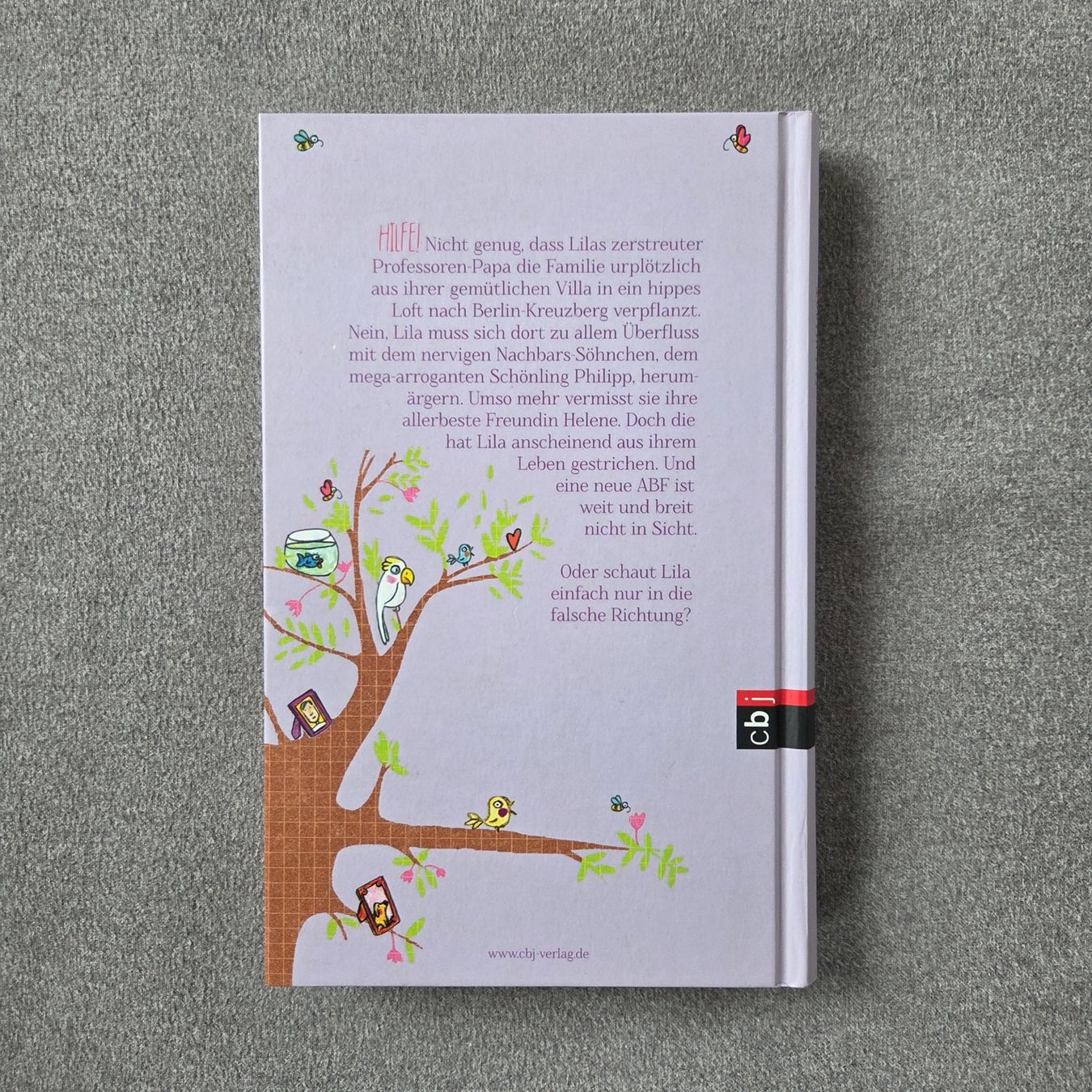 Bücher: Bücherpaket für Mädchen – Neu (gemäss Beschreibung) aus St.Gallen von Its.eli035 3