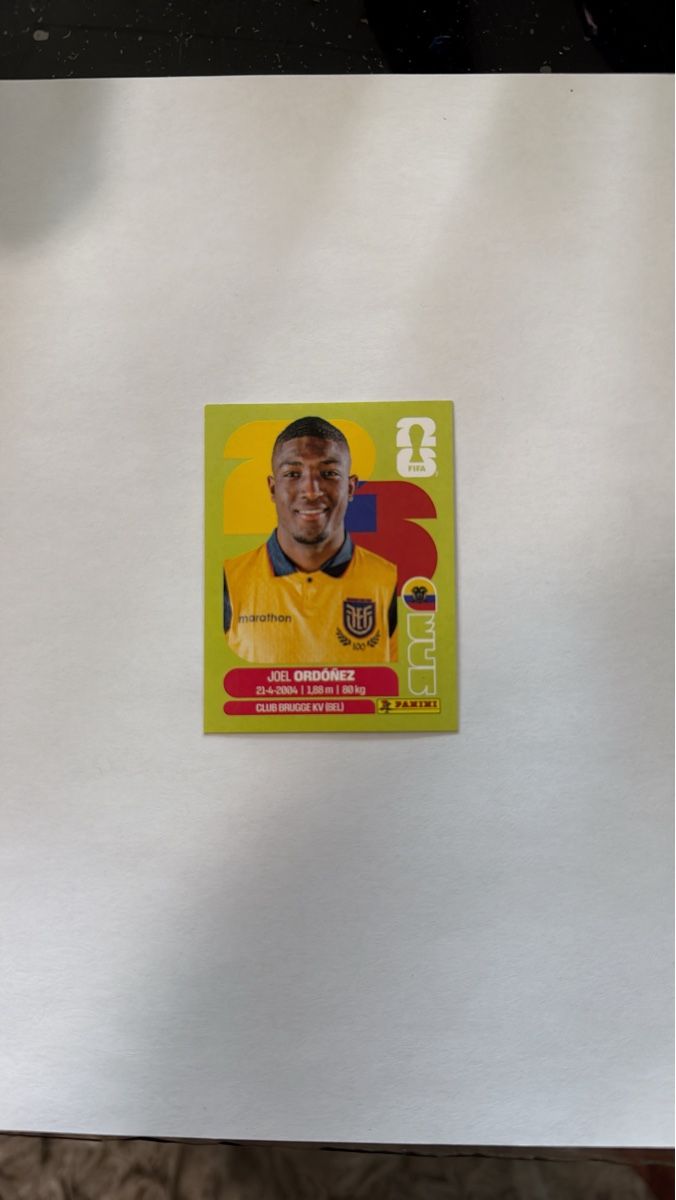 Panini Carte collezionabili: Panini Karte Joel Ordonez ECU 8 – Nuovo (secondo la descrizione) da Zürich venduto da Maeckes