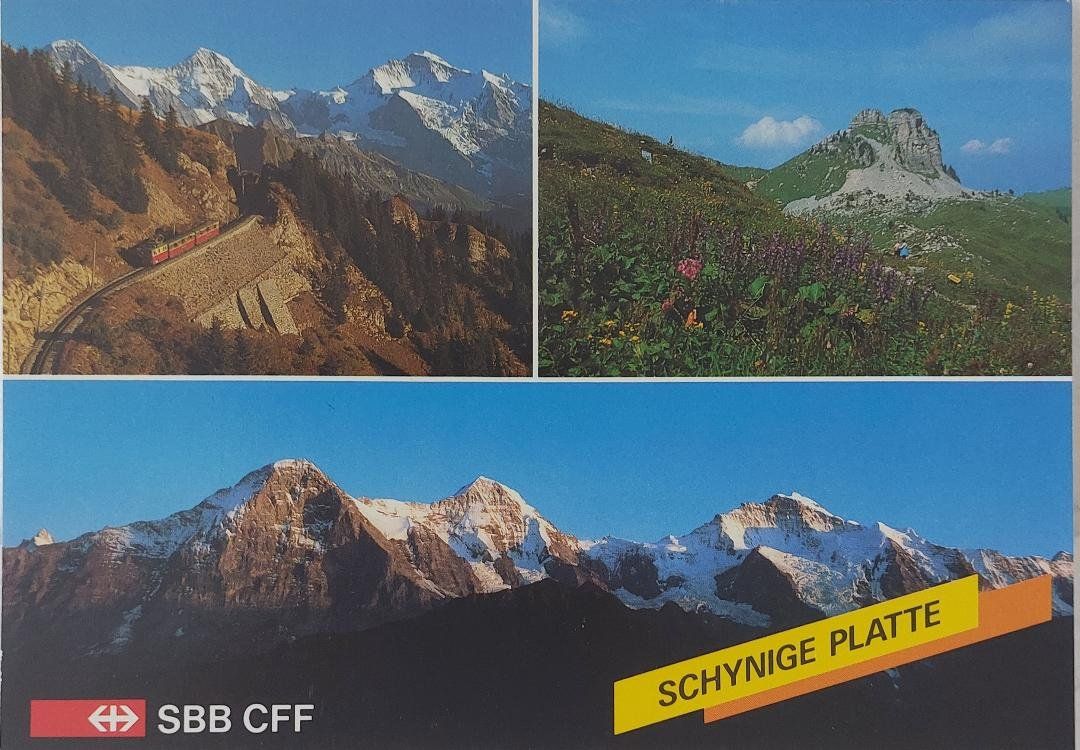 Cartoline postali: SCHYNIGE PLATTE  -   Carte SBB - CFF – Usato da Delémont venduto da Domdom1